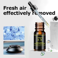 Désodorisant de voiture liquide non enflammé longue durée Lot de recharges d'huile de parfum ménager écologique pour voiture