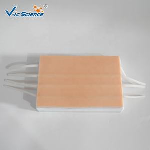 Maniquí de Ciencias Médicas, Almohadilla de Inyección, Modelo de Entrenamiento de Enfermería, Simulación de Inyección - Product Image 4