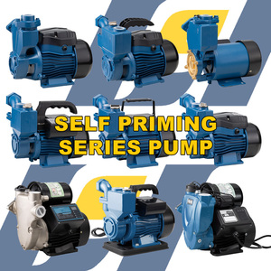 Pompes à eau électriques <span class=keywords><strong>auto</strong></span>-amorçantes pour lavage de voiture et <span class=keywords><strong>jardin</strong></span>, 0,25 CV, très vendues en Inde - Product Image 2