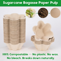 Bols à glace en pulpe de papier jetables, compostables, biodégradables, écologiques, gobelets à dessert, vaisselle, sucettes, sushi, recyclables