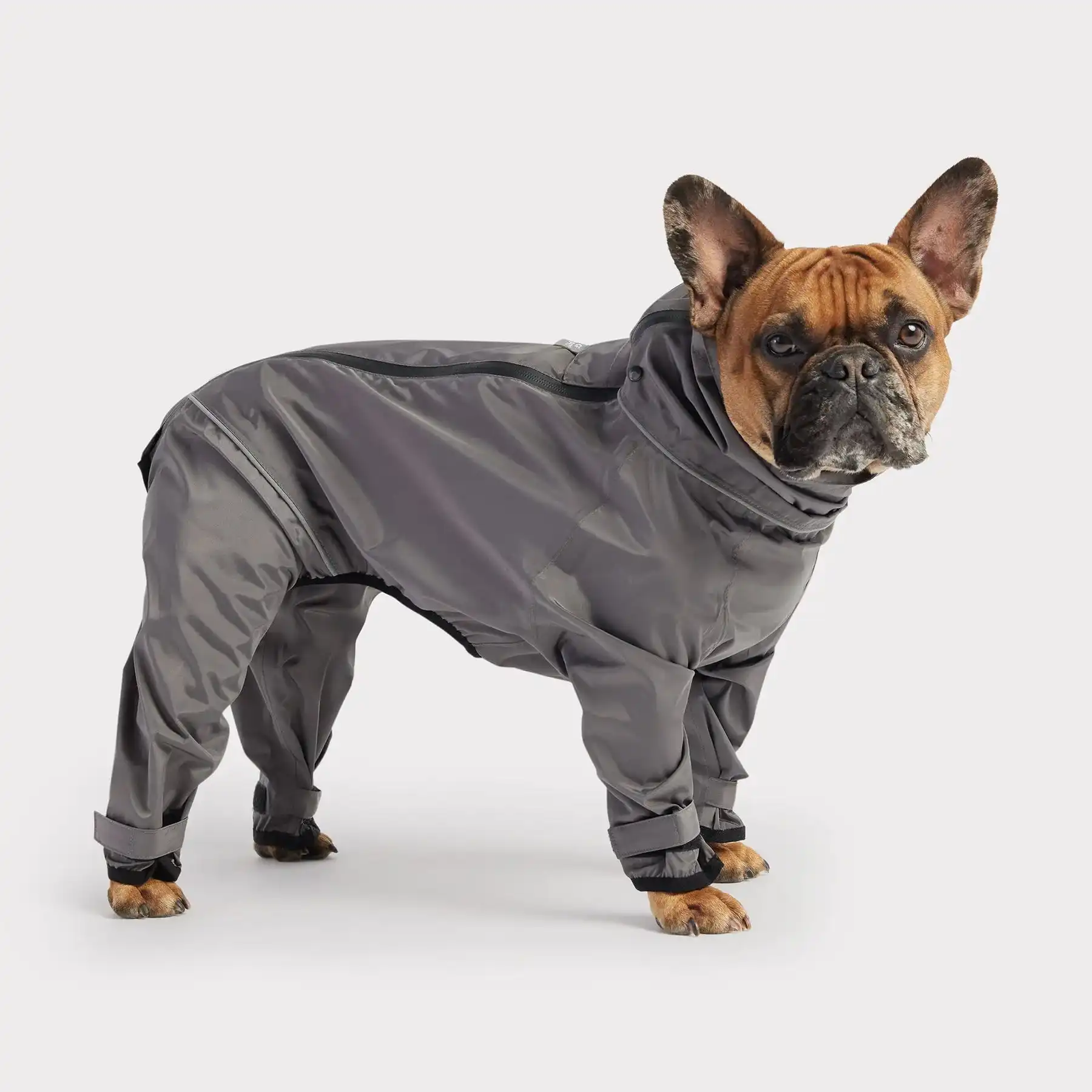Novo design de roupas para animais de estimação do fabricante por atacado - jaqueta leve impermeável splash suit para cães e gatos