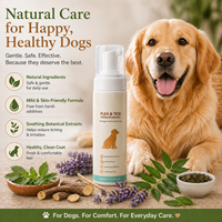200 ml Formule de toilettage sans rinçage Contre les puces et les tiques Shampoing sec en mousse sans eau pour chien Marque privée