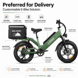 Bicicleta Eléctrica de Reparto Personalizada, 48V 55Ah, 240km de Autonomía, 750W, Neumático Grueso de 20 Pulgadas, Venta Directa de Fábrica para Repartidores - Product Image 1