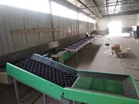 Elektronische fruit sorteermachine, mechanische fruitgewichtsorteerder voor appels, sinaasappels, avocado's, mango's en citroenen.