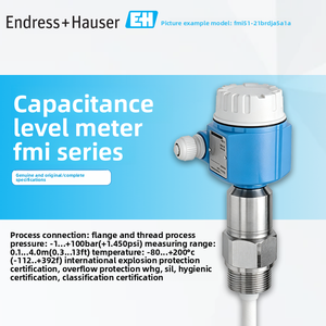 Instrument de mesure de niveau capacitif série FMI E+H Endress+Hauser, instrument de mesure d'interface, original, industriel, fabriqué en Chine - Product Image 6