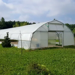 Gemüse pflanzung Single Span Gewächshaus Gewächshaus Poly Film geschützt Häuser Plastikfolie Gewächshaus