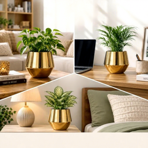 Maceta Moderna de Lujo, Chapada en Cromo Dorado, para Plantas Verdes de Interior, para Escritorio - Product Image 6