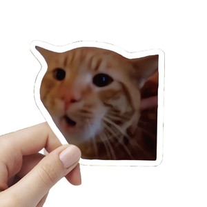 สติกเกอร์แมวน่ารักและตลก 100 ชิ้น สำหรับติดแล็ปท็อป ขวดน้ำ สไตล์อินส์ วัสดุสำหรับงานสมุดภาพ - Product Image 6