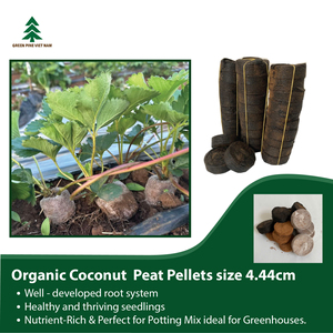 Vainas de inicio de semillas de compost de turba de coco biodegradables Germinación rápida de semillas y forma de bloque de desarrollo de raíces saludables - Product Image 3