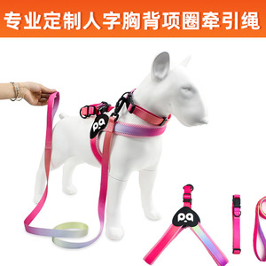 Ensemble laisse et harnais pour chien de grande taille, design OEM personnalisé DZ 008 - Product Image 3