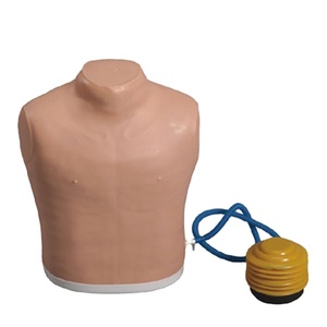 Modelo Avanzado <span class=keywords><strong>de</strong></span> PVC para <span class=keywords><strong>el</strong></span> Tratamiento <span class=keywords><strong>de</strong></span> Neumotórax, Maniquí <span class=keywords><strong>de</strong></span> Entrenamiento para Aerotórax - Product Image 2