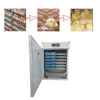 Incubateur à œufs de poulet entièrement automatique Couveuse-automatic-1000-oeuf en vente aux Émirats arabes unis