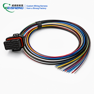 34P MIL-W22759/16 <span class=keywords><strong>2</strong></span>.5m G4X ECUs Faisceau de câblage universel pour ECU avec fil Tefzel enduit ETFE pour le sport automobile - Product Image 1