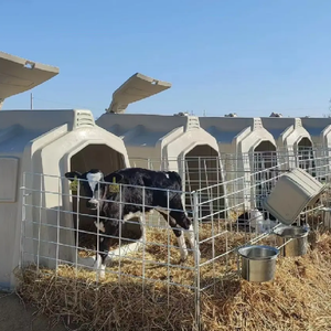 Équipement de ferme de bétail <span class=keywords><strong>Cage</strong></span> d'élevage de veau de tuyau galvanisé durable Île de veau en acier robuste pour l'état neuf d'élevage - Product Image 2