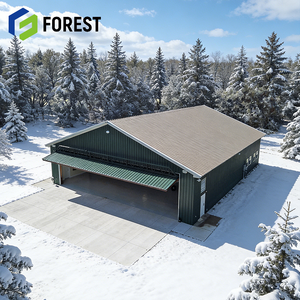 Hangar d'avion en structure acier préfabriquée robuste, montage facile pour le stockage d'avions, approvisionnement mondial - Product Image 1