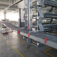 Système complet clé en main pour élevage avicole : Cage automatique pour poules pondeuses avec ligne d'alimentation par plateau pour poulailler préfabriqué à grande échelle