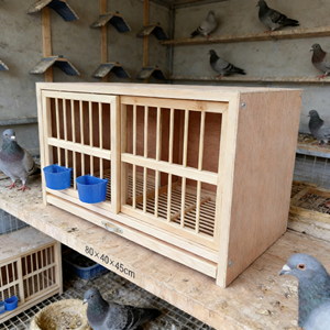 Gabbia per Allevamento Piccioni Pieghevole in Legno di Pino di Alta Qualità, Ecologica e Traspirante, Casetta per Uccelli da Esterno Facile da Montare - Product Image 6