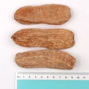 <span class=keywords><strong>Tianma</strong></span>, традиционная Здоровая пища, оптовая продажа, китайская травяная медицина, ломтик гастродии - Product Image 3