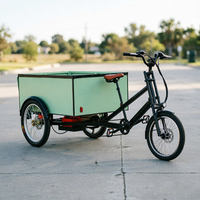 Carrito Tuk Tuk con Remolque, Entrega Rápida, Gran Oferta, Bicicleta Eléctrica de Carga Pesada de 3 Ruedas con Caja para Adultos, 6 Velocidades