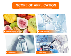 เครื่องอบแห้งแช่แข็งอาหารทำจากสแตนเลสสตีล30กก. ผลิตภัณฑ์จากผลไม้มังกรแช่แข็งจากประเทศไทย - Product Image 6