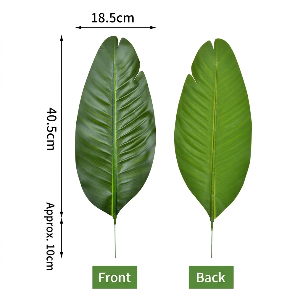 Plátano viajero oscuro-[hoja pequeña]]
