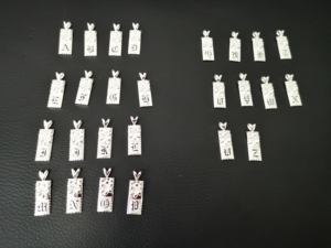 Ciondolo Personalizzato con Iniziale Nera su Pergamena Hawaiana, Ciondolo Hawaiano con Lettera Plumeria Placcato Oro Personalizzato - Product Image 3