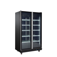 Réfrigérateur commercial vertical autonome à 2 portes vitrées pour boissons, idéal pour restaurants et magasins de proximité
