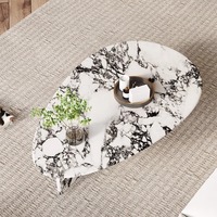 Meubles de salon, style français moderne et créatif, table basse en marbre durable de haute qualité, forme irrégulière