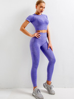 5 Pièces En Gros Vêtements de Sport pour Femmes Ensemble de Gymnastique et Tenues de Yoga Sans Couture