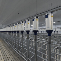 Conception et construction de nouvelle ferme porcine intelligente et moderne - Solutions personnalisées pour des installations porcines à grande échelle avec technologie intelligente
