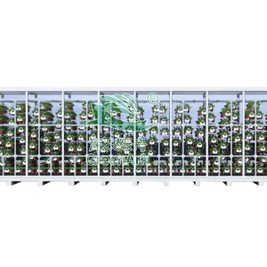 Automatische Pflanzen kräuter Heilpflanzen Hanf von der 40ft HQ Container Farm Fracht Farm Versand Container Farm