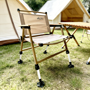 รถเข็นไฟฟ้าพับได้แบบกำหนดเอง รับน้ำหนักได้ 100 กก. ควบคุมผ่านแอพ ได้รับการรับรองมาตรฐาน CE FCC รถเข็นพับได้สำหรับการตั้งแคมป์และการขนส่ง - Product Image 4