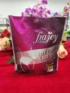 Sanitary Pant Menstrual Special Period Underwear ISO Disposable Adult Diapers Printed Pantys OEM Non Woven Fabric Woman
