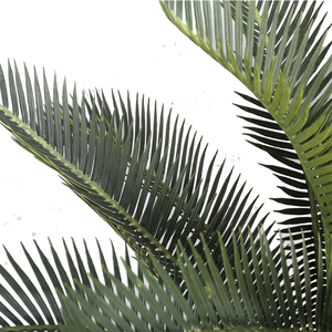 ต้นปาล์มปฏิวัติเขียวใช้ตกแต่งในร่มและกลางแจ้ง,ต้นไม้เทียม Sago Cycas สินค้าจากประเทศจีน - Product Image 5