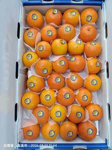 Oranges fraîches 10 kg, agrumes avec une durée de conservation d'un an, provenant du Jiangxi, Chine - Product Image 5