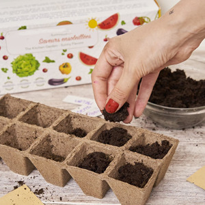 Pots en papier biodégradables certifiés USDA Organic pour <span class=keywords><strong>cuisine</strong></span> et jardin, ensemble de boîtes de culture, cadeau festif pour la maison, utilisation au sol - Product Image 4