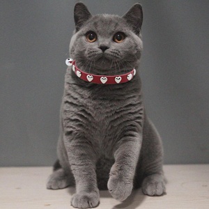<span class=keywords><strong>Collar</strong></span> de amor de cuero para gatitos y cachorros, correas remachadas con corazón de gato, campana ajustable, <span class=keywords><strong>Collar</strong></span> para perros y Mascotas - Product Image 1