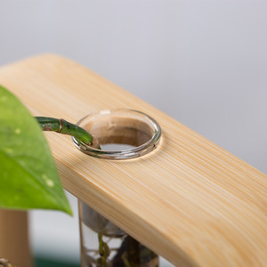Juego de Jarrones Hidropónicos de Bambú, Redondos y Cuadrados, Decoración de Escritorio, Estilo Minimalista, Porta Plantas - Product Image 3