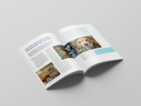 Service d'impression de brochures de catalogues de magazines promotionnels réutilisables Met Art