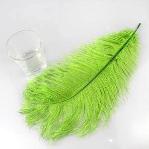 Pabrik Terkemuka Produk Kerajinan Bulu Berkualitas Terbaik Bulu Burung Unta 55-60 cm Bulu Burung Unta Berwarna untuk Dekorasi - Product Image 5