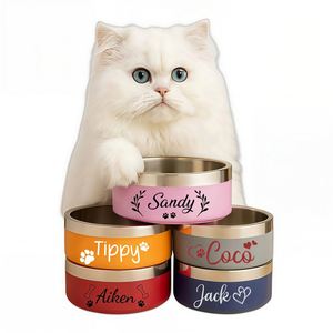 Bol, bols personnalisés en acier inoxydable pour nourriture et eau pour chien, mangeoire antidérapante pour chat, cadeau personnalisé pour animaux de compagnie - Product Image 1