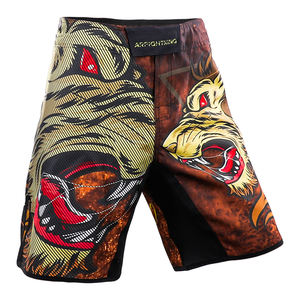 Short d'entraînement personnalisé MMA & BJJ Hommes Femmes Unisexe Séchage rapide Stretch dans les quatre sens Vêtements de combat légers - Product Image 1