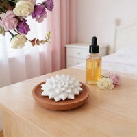Diffuseur d'arômes passif en forme de fleur succulente, pierre parfumée aux huiles essentielles pour la décoration de la maison, ornement, cadeau désodorisant pour le salon