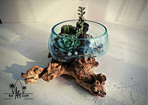 Vente en gros kit de terrarium fermé moderne avec conteneurs pour plantes Vase de table Jardin Culture Plante d'intérieur Base en béton Verre <span class=keywords><strong>Terra</strong></span> - Product Image 6