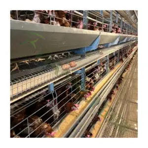 Layers Chicken Cages For Africa Battery Cage Poultry Farming Design Egg Chicken Cage Price