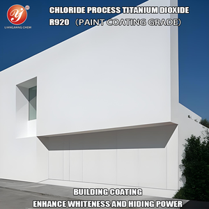 Промышленный диоксид титана рутилового типа R920, чистота 94%, электродный TiO2 для лодочных красок и промышленных покрытий, 25 кг/мешок - Product Image 6