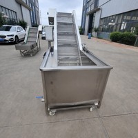 RVS gaasbandtransportband voor voorwas- en hefwerken in de fruit- en groenteproductielijn