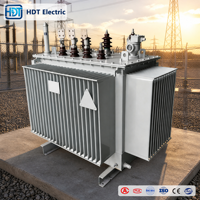 Transformateur immergé dans l'huile 0,69 kV / 11 kV 1250 kVA 2000 kVA pour ferme solaire, triphasé, type de distribution abaisseur de tension, station photovoltaïque