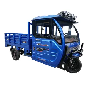 Voiture de moto électrique à 3 roues avec cabine d'entraînement/scooter électrique fermé avec siège passager/tricycle cargo pour adultes