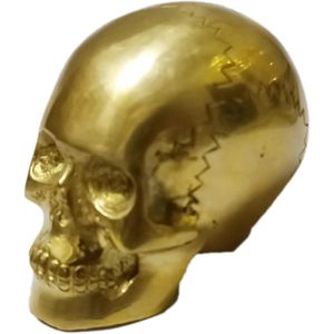 Mango de bastón con forma de calavera Vintage, empuñadura de Palma náutica con puntas de repuesto para peso de papel, uso como accesorio único para bastones - Product Image 6